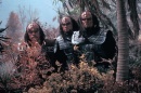 klingons_genesis.jpg