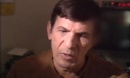 interview-nimoy-083.jpg