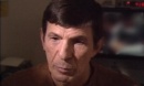 interview-nimoy-157.jpg