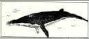 storyboards-071.jpg