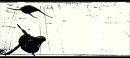 storyboards-121.jpg