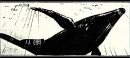 storyboards-122.jpg