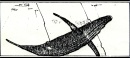 storyboards-125.jpg