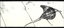 storyboards-126.jpg