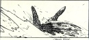 storyboards-128.jpg
