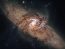 cosmicthoughts029.jpg