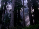 agreenfuture031.jpg