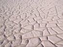 agreenfuture049.jpg