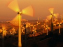 agreenfuture081.jpg
