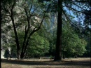 agreenfuture095.jpg