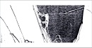 storyboards168.jpg