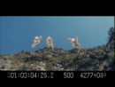 anatomy-of-stunts-062.jpg