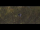 shuttle-chase-186.jpg