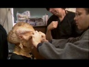 westmore-aliens-187.jpg