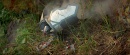 insurrectionhd1379.jpg