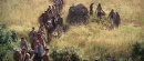 insurrectionhd2201.jpg